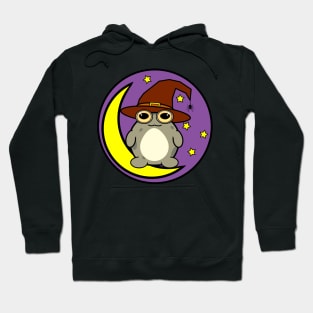 Frog Witch Hoodie